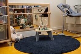 2Zonnebloemen foto 4