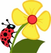 Kinderdagverblijf 't Keaverke 2