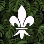 Stichting Scouting BSO Vlaardingen 3