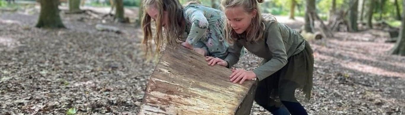 Michelles BSO foto 10