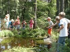 SKSG Bredero Beverburcht