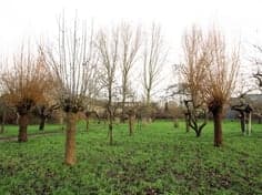 Leuvensbroek, locatie Leuvensbroek 20-10 foto 5