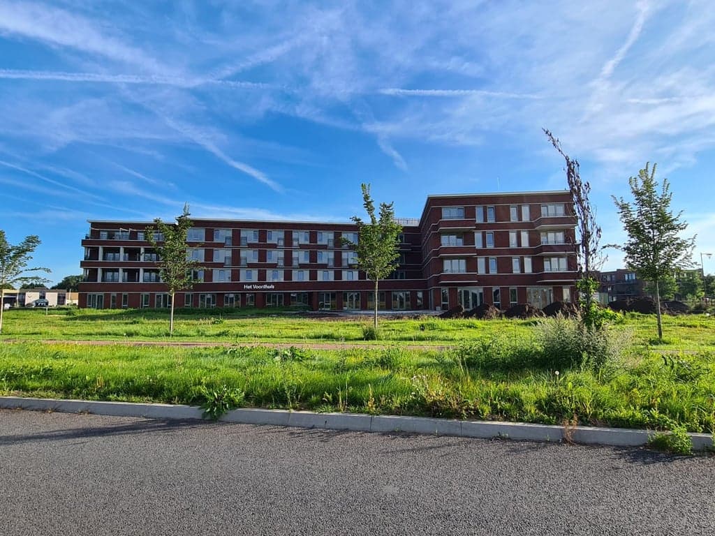 Bzzzonder Miereveld foto 7