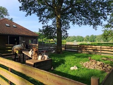 Stap foar Stap Kleurrijk B.V. foto 7