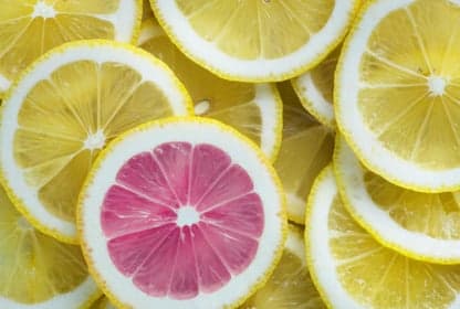 Coters kinderopvang foto 7