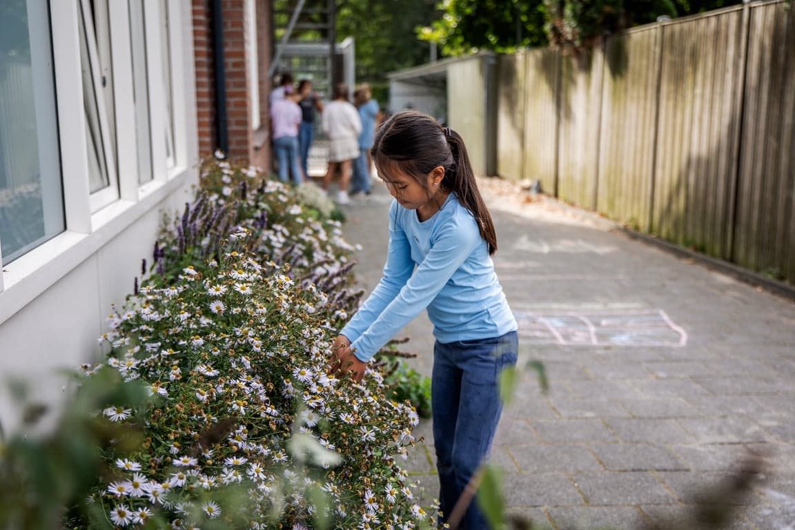 BSO Flevowijk foto 5