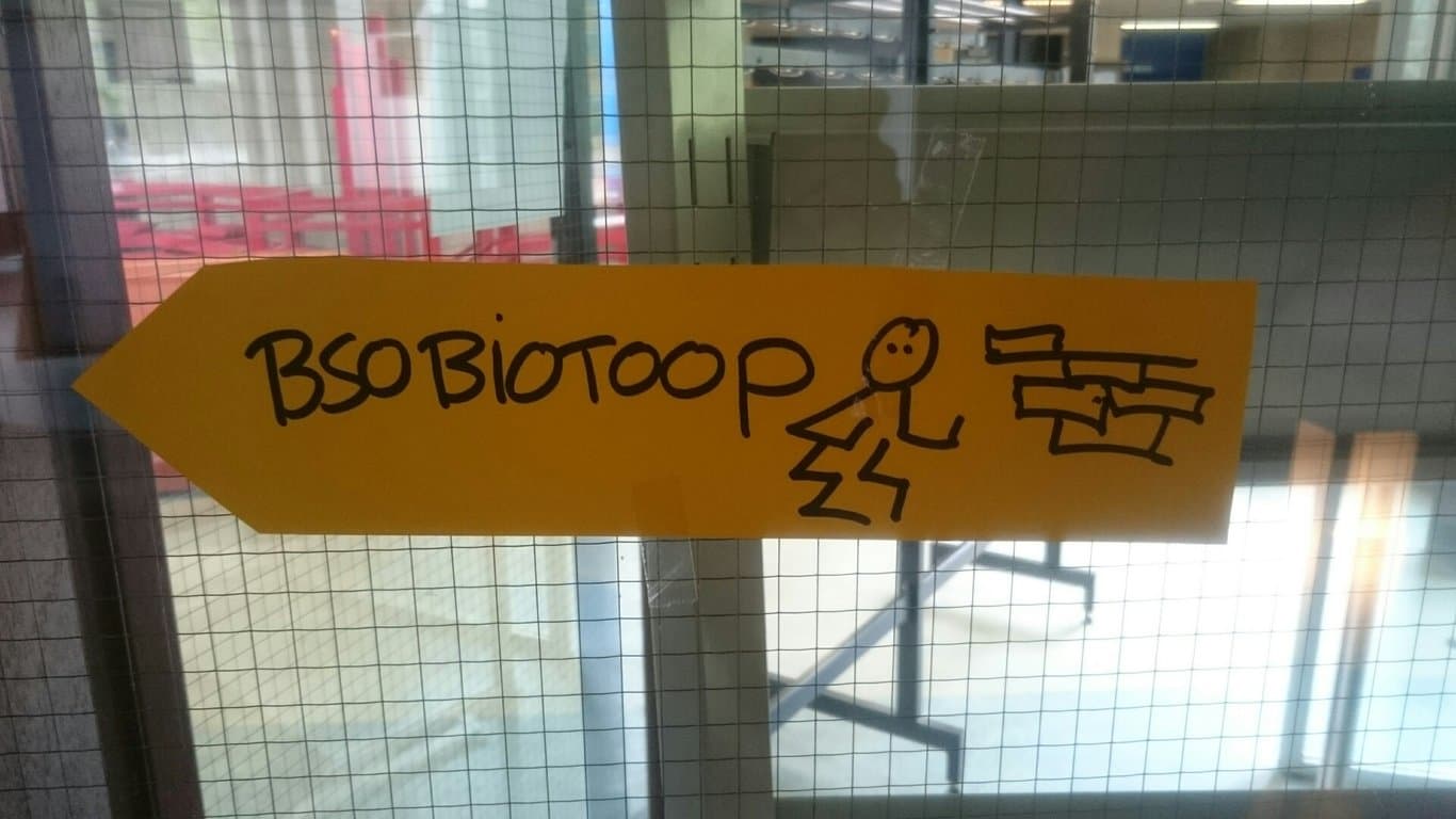 BSO Rijmelarij foto 4