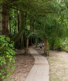 KDV Duinpaleis foto 6