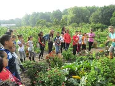 Kinderopvang Reigersbos foto 6