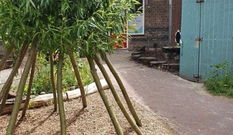 Hero Peuteropvang Nagtzaamplein foto 7