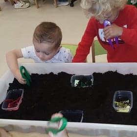 de Zeesterren foto 9