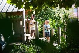 KDV Vuurvogel foto 6