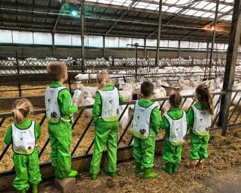 PUUR Peuteropvang Chaam foto 7