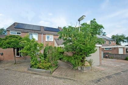 Boterbloempje foto 5