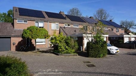 Boterbloempje foto 6