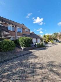 Boterbloempje foto 8