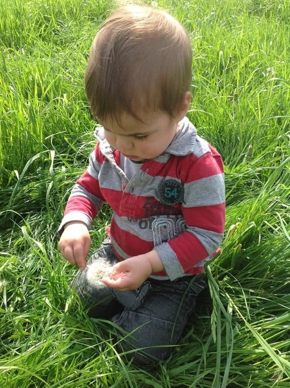 Kinderopvang De Boerderij B.V. foto 4