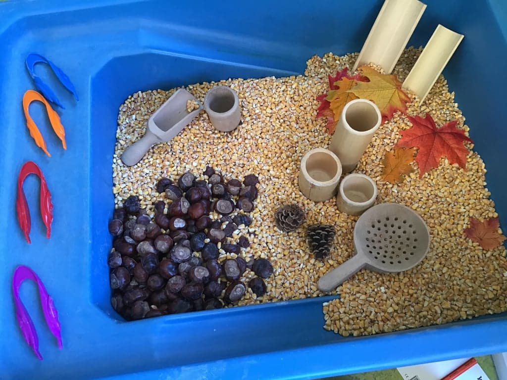 Siemenotje BSO foto 5