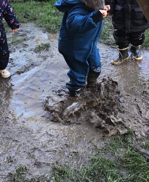 Siemenotje BSO foto 8