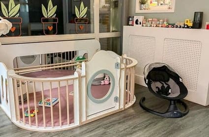 Rotondaschool - Hondsroos foto 4