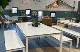 Rotondaschool - Hondsroos foto 7