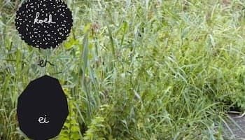 Kinderopvang Koek en Ei foto 5