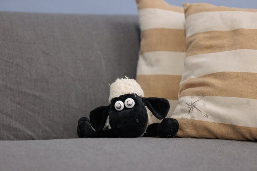 Kindcentrum ABS foto 5