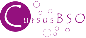 CursusBSO Voorwaarts 2