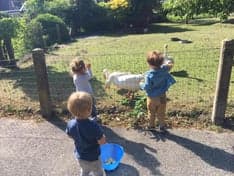 KDV Glimmen IKC Quintus foto 9