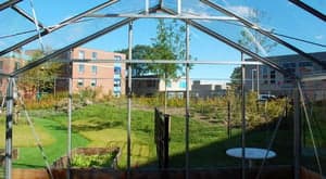 Dak Beijersstraat foto 5