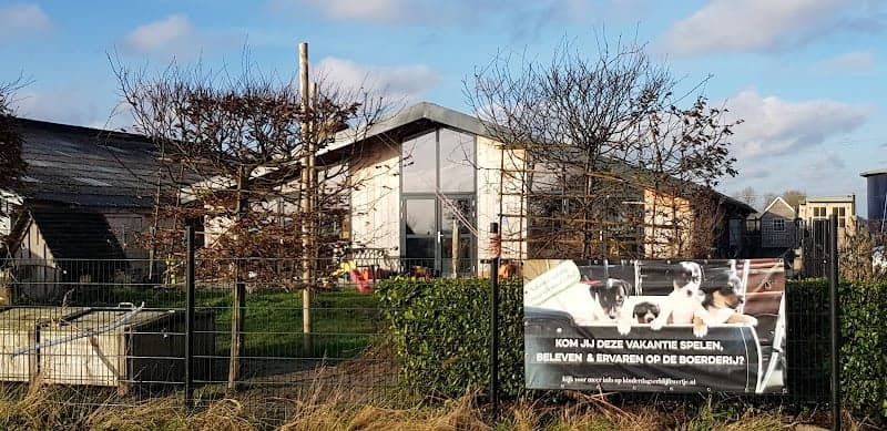 Kinderdagverblijf 't Werfje