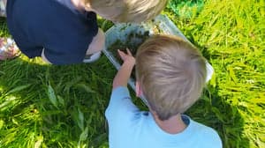 Eigen&Wijzer BSO Wereldkidz Tweesprong Fazantenkamp foto 4