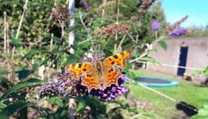 De Geheime Tuin BSO Leidsche Rijn foto 9