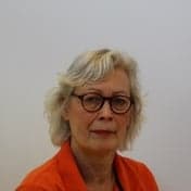 De Vlieger foto 5