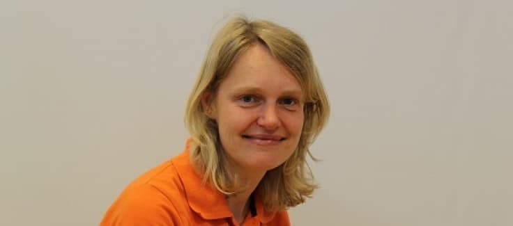 De Vlieger foto 7