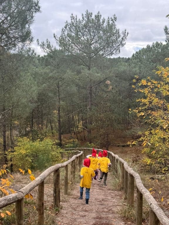 BSO De Pettenvlet aan Zee foto 7