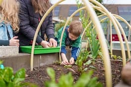 BSO de Tovertuin foto 4