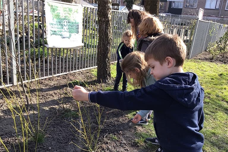 BSO de Tovertuin foto 9