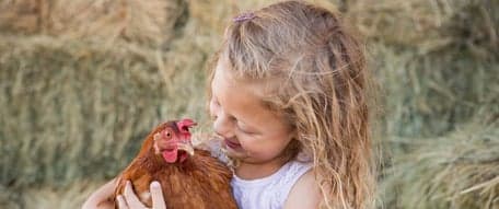 Buitenschoolse opvang Pluk 2