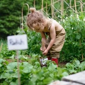 Buitenschoolse opvang Pluk 3