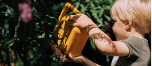 De Sterrenboom foto 4