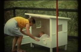 De Sterrenboom foto 10