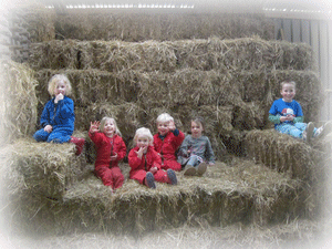 Boerderij de Boterbloem, het Wespennest foto 4
