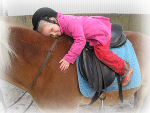 Boerderij de Boterbloem, het Wespennest foto 5