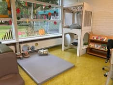 Kinderdagverblijf de Groene boomhut foto 6