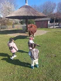 Kinderdagverblijf Small foto 4