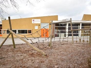 Bso de Vlasschoeffies / de Bonte Koe foto 4