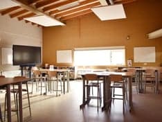 Bso de Vlasschoeffies / de Bonte Koe foto 8