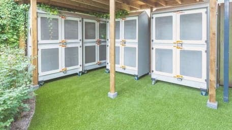 Kindergarden Zwolle Frankhuizerallee foto 5