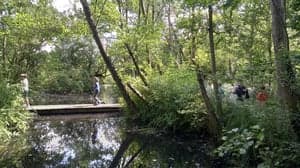 Kinderopvang Mundo - 't Hofje van Dordt foto 10